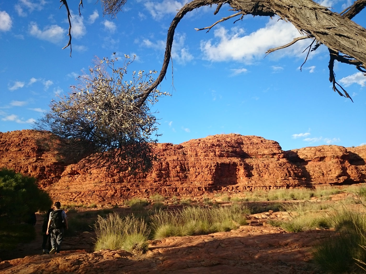 Erlebnisbericht Australien